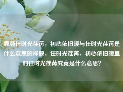 兼顾任时光荏苒，初心依旧暖与任时光荏苒是什么意思的标题，任时光荏苒，初心依旧暖里的任时光荏苒究竟是什么意思？
