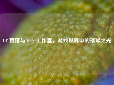 CF 雨落与 KTS 工作室，游戏世界中的璀璨之光