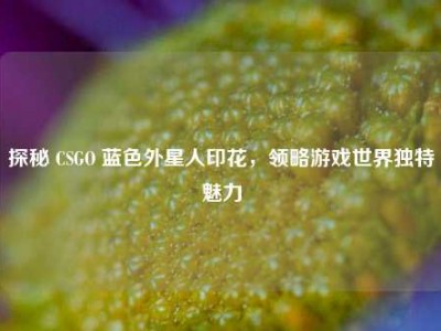 探秘 CSGO 蓝色外星人印花，领略游戏世界独特魅力
