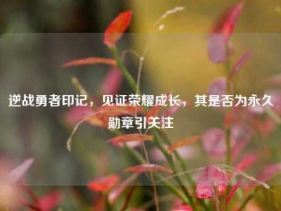 逆战勇者印记，见证荣耀成长，其是否为永久勋章引关注