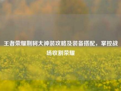 王者荣耀荆轲大神装攻略及装备搭配，掌控战场收割荣耀