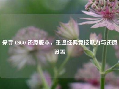 探寻 CSGO 还原版本，重温经典竞技魅力与还原设置
