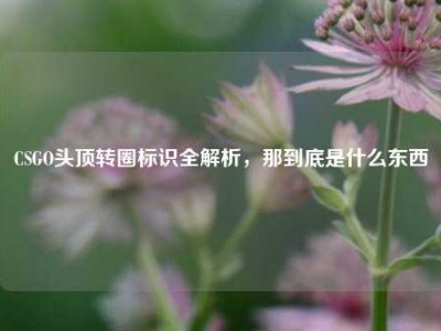 CSGO头顶转圈标识全解析，那到底是什么东西