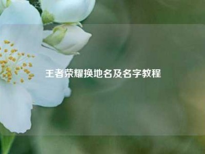 王者荣耀换地名及名字教程