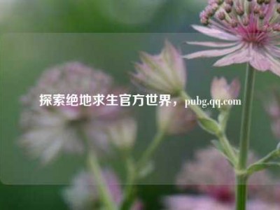 探索绝地求生官方世界，pubg.qq.com