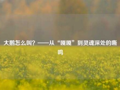 大鹅怎么叫？——从“嘎嘎”到灵魂深处的嘶鸣