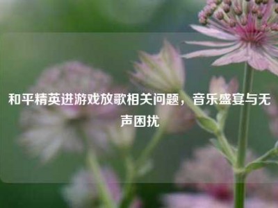 和平精英进游戏放歌相关问题，音乐盛宴与无声困扰