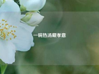 一碗热汤藏孝意