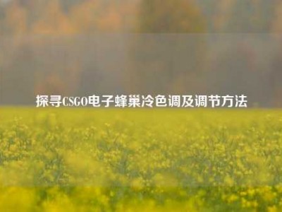 探寻CSGO电子蜂巢冷色调及调节方法