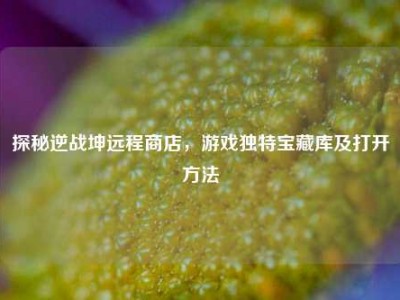 探秘逆战坤远程商店，游戏独特宝藏库及打开方法