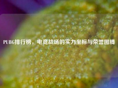 PUBG排行榜，电竞战场的实力坐标与荣誉图腾
