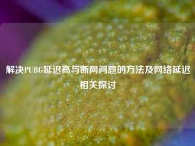 解决PUBG延迟高与断网问题的方法及网络延迟相关探讨