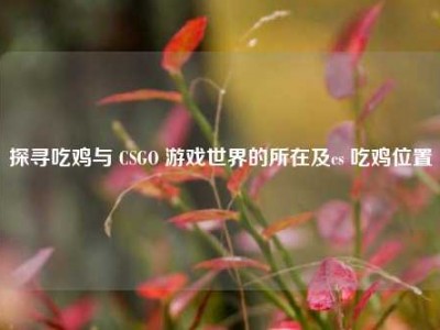 探寻吃鸡与 CSGO 游戏世界的所在及cs 吃鸡位置