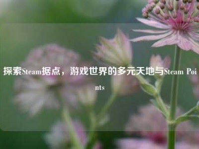 探索Steam据点，游戏世界的多元天地与Steam Points