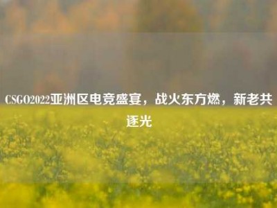 CSGO2022亚洲区电竞盛宴，战火东方燃，新老共逐光