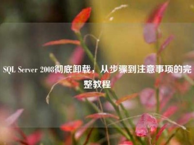 SQL Server 2008彻底卸载，从步骤到注意事项的完整教程
