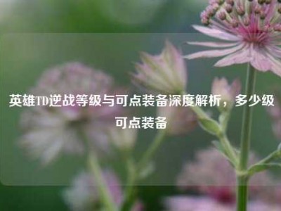 英雄TD逆战等级与可点装备深度解析，多少级可点装备