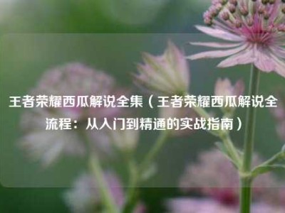 王者荣耀西瓜解说全集（王者荣耀西瓜解说全流程：从入门到精通的实战指南）
