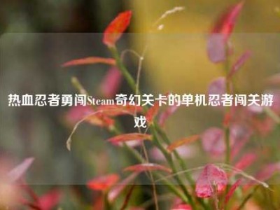 热血忍者勇闯Steam奇幻关卡的单机忍者闯关游戏