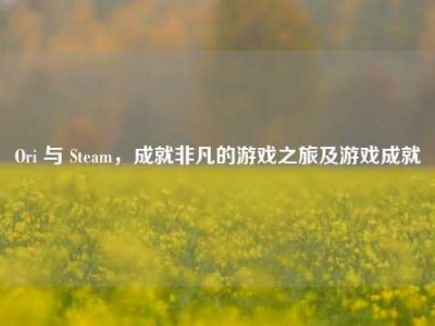 Ori 与 Steam，成就非凡的游戏之旅及游戏成就