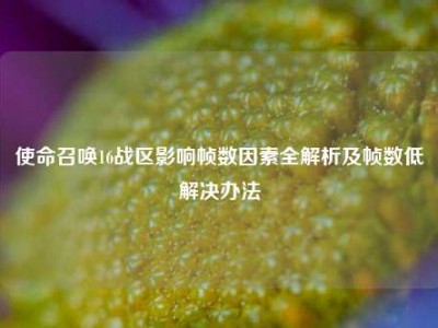 使命召唤16战区影响帧数因素全解析及帧数低解决办法