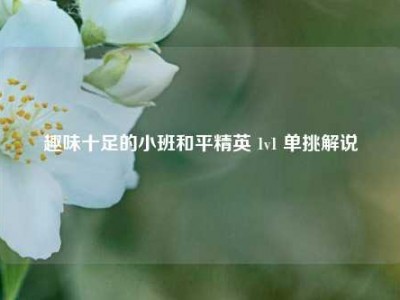 趣味十足的小班和平精英 1v1 单挑解说