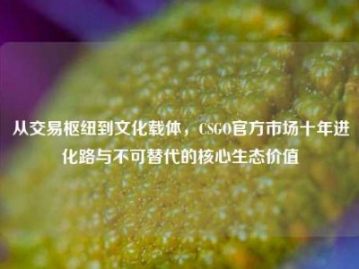 从交易枢纽到文化载体，CSGO官方市场十年进化路与不可替代的核心生态价值