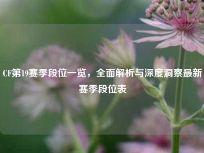 CF第19赛季段位一览，全面解析与深度洞察最新赛季段位表