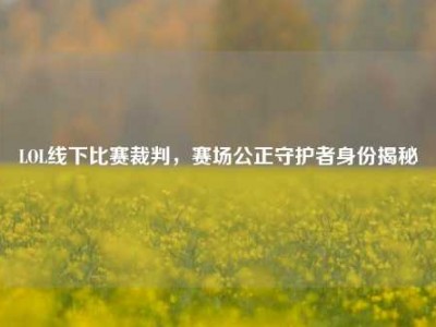 LOL线下比赛裁判，赛场公正守护者身份揭秘
