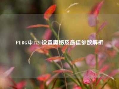 PUBG中1720设置奥秘及最佳参数解析