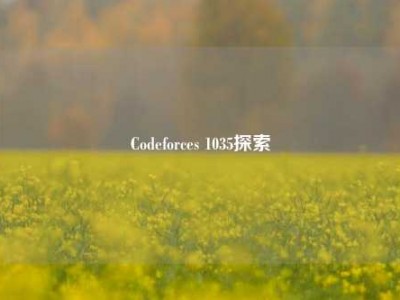 Codeforces 1035探索