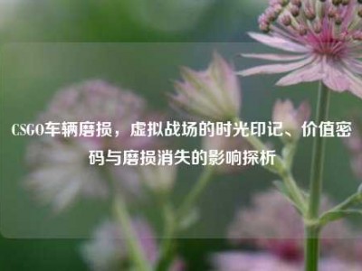 CSGO车辆磨损，虚拟战场的时光印记、价值密码与磨损消失的影响探析
