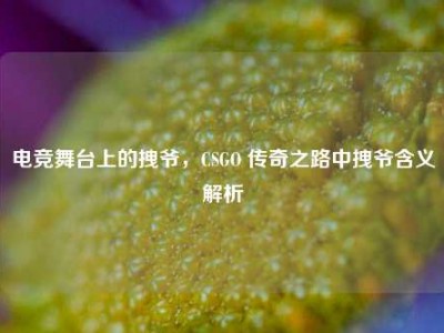 电竞舞台上的拽爷，CSGO 传奇之路中拽爷含义解析