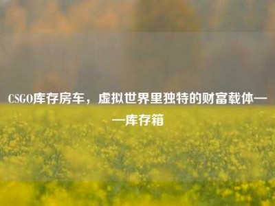 CSGO库存房车，虚拟世界里独特的财富载体——库存箱