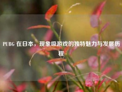 PUBG 在日本，现象级游戏的独特魅力与发展历程