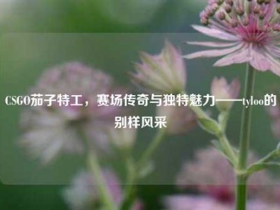 CSGO茄子特工，赛场传奇与独特魅力——tyloo的别样风采
