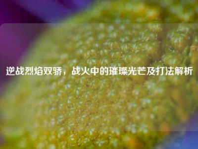 逆战烈焰双骄，战火中的璀璨光芒及打法解析