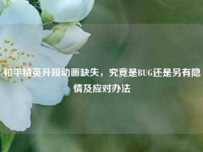 和平精英升段动画缺失，究竟是BUG还是另有隐情及应对办法