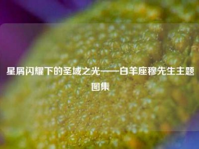 星屑闪耀下的圣域之光——白羊座穆先生主题图集