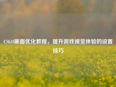 CSGO画面优化教程，提升游戏视觉体验的设置技巧