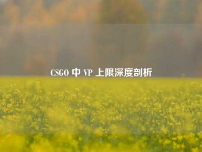 CSGO 中 VP 上限深度剖析