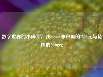 数字世界的小确幸，我Steam账户里的1500元与花掉的2000元