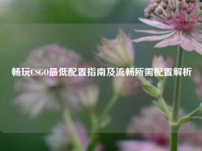 畅玩CSGO最低配置指南及流畅所需配置解析