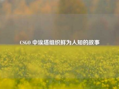 CSGO 中埃塔组织鲜为人知的故事