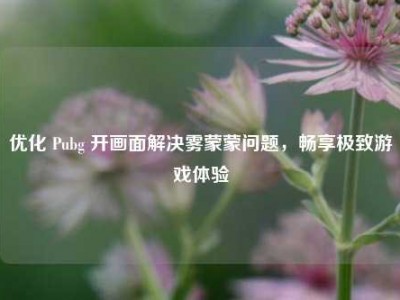 优化 Pubg 开画面解决雾蒙蒙问题，畅享极致游戏体验