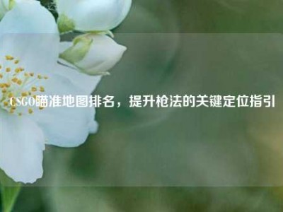 CSGO瞄准地图排名，提升枪法的关键定位指引