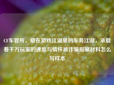 CF车管所，藏在游戏江湖里的车务江湖，承载着千万玩家的速度与情怀被诈骗报案材料怎么写样本