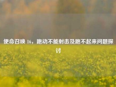 使命召唤 16，跑动不能射击及跑不起来问题探讨