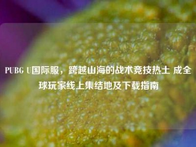 PUBG U国际服，跨越山海的战术竞技热土 成全球玩家线上集结地及下载指南
