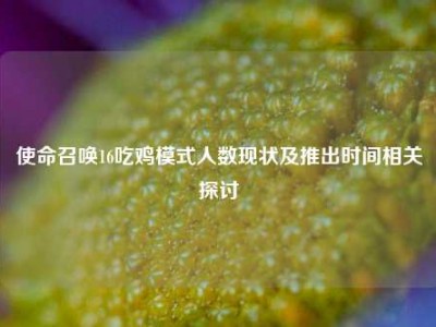 使命召唤16吃鸡模式人数现状及推出时间相关探讨